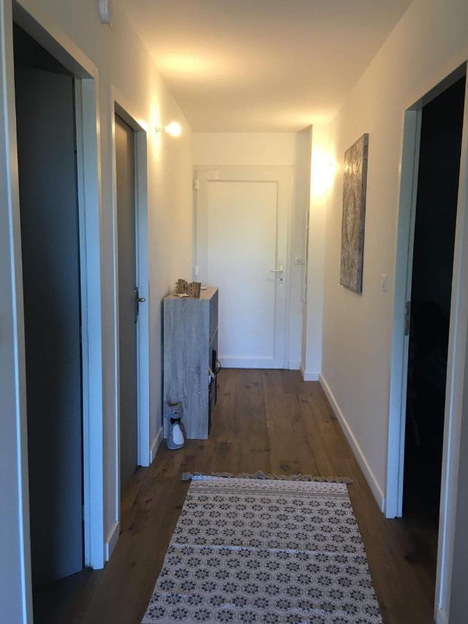 Superbe Appartement En Residence Calme Cauro Eksteriør billede
